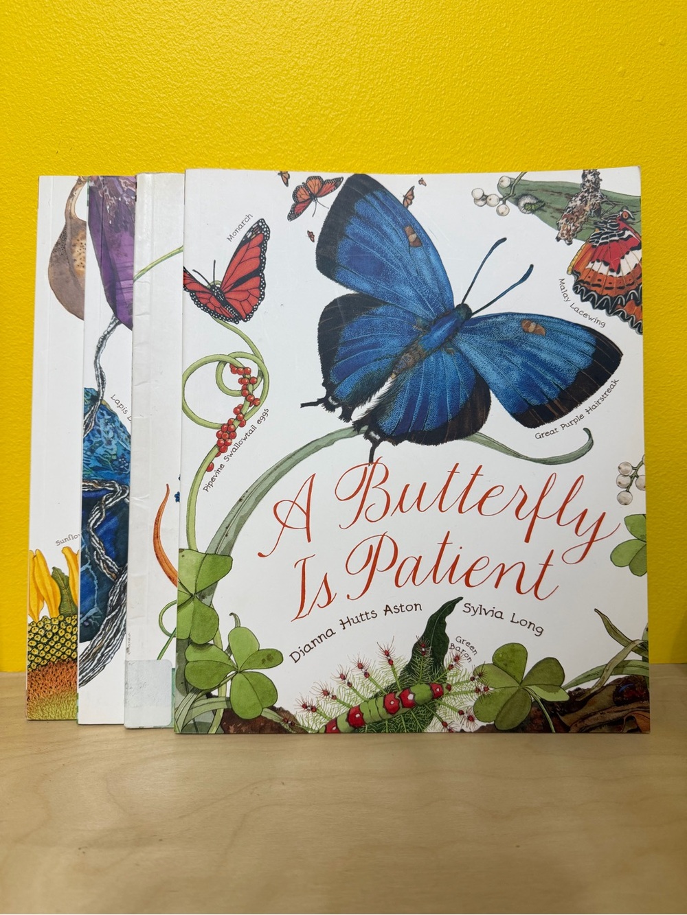 Nature Is Book Series - Butterfly, Seed, Egg, Rock (Set of 4 Dianna Hutts Aston)